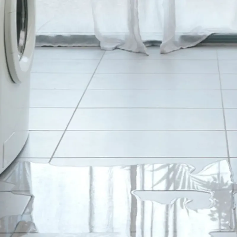 Appliance Leak Cleanup in Riviera Beach, MD